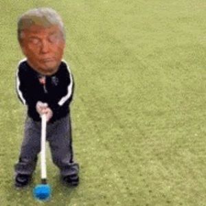 Meet your Posher, William